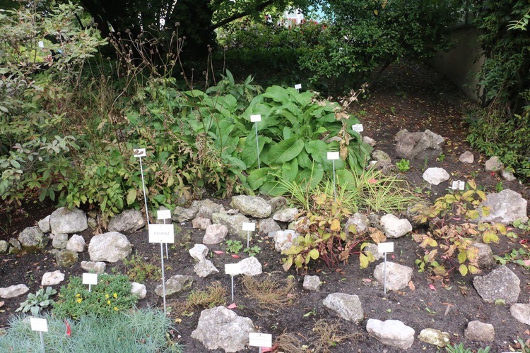 Fotografie Ogrodu Botanicznego w Krakowie