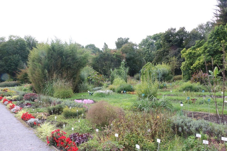 Fotografie Ogrodu Botanicznego w Krakowie