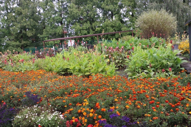 Fotografie Ogrodu Botanicznego w Krakowie