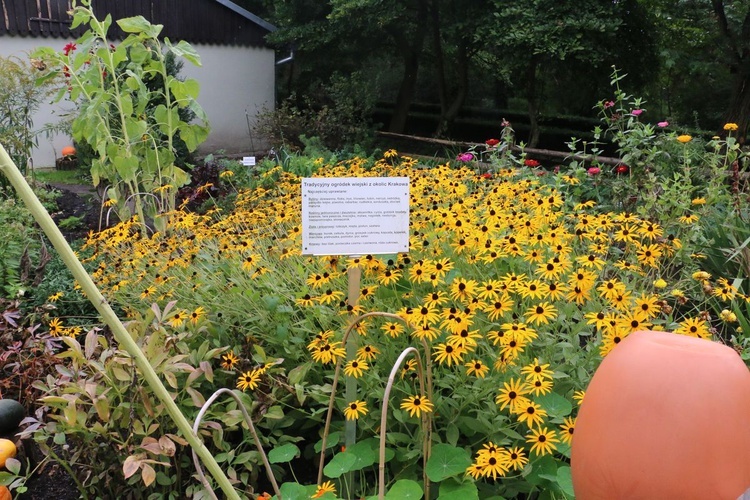 Fotografie Ogrodu Botanicznego w Krakowie