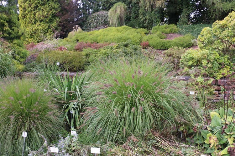 Fotografie Ogrodu Botanicznego w Krakowie