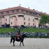 Pola Chwały 2021
