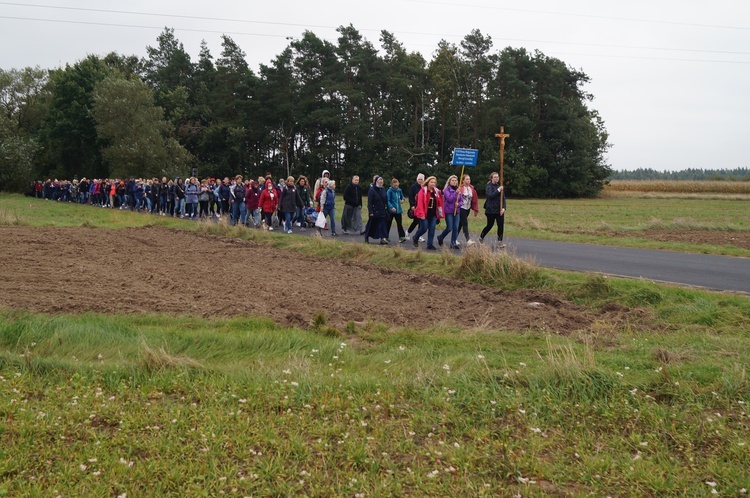 Pielgrzymka katechetów i nauczycieli