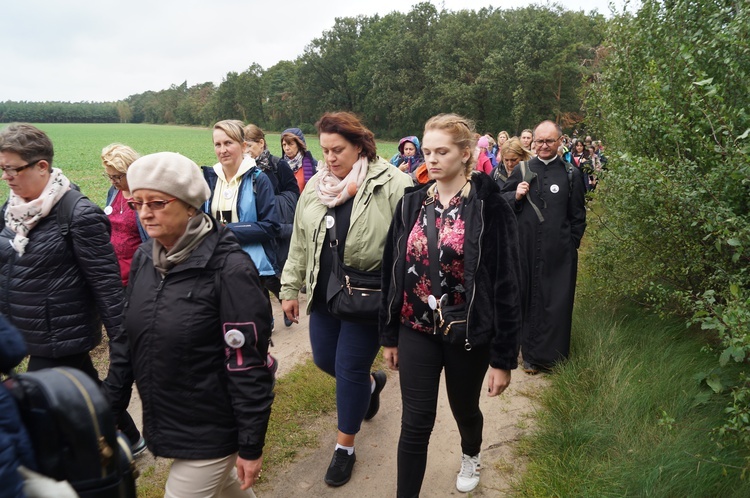 Pielgrzymka katechetów i nauczycieli