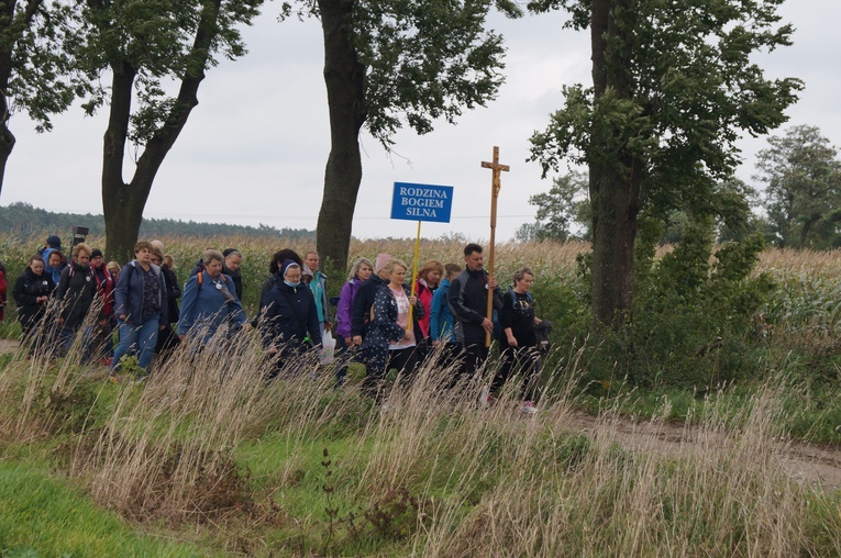 Pielgrzymka katechetów i nauczycieli