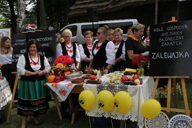 Festiwal Ziemniaka z Karolem Okrasą