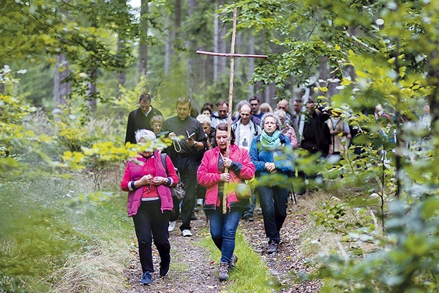 Większość drogi wiodła przez las.