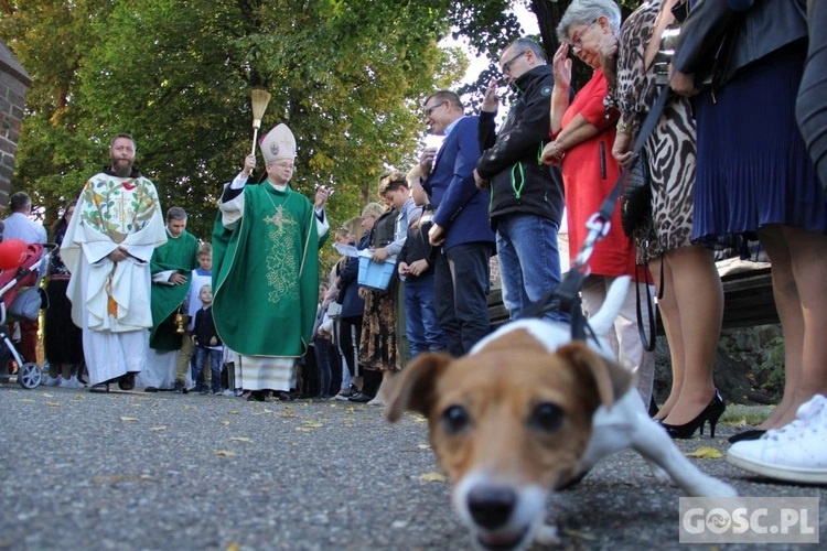 Niedziela św. Franciszka i Kromka Chleba dla Sąsiada tym razem w Głogowie