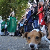 Niedziela św. Franciszka i Kromka Chleba dla Sąsiada tym razem w Głogowie