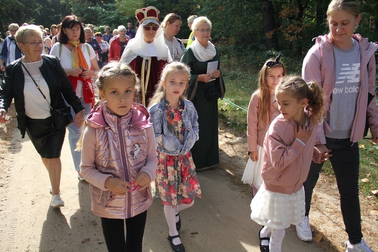Z Brzegu Dolnego do Łososiowic