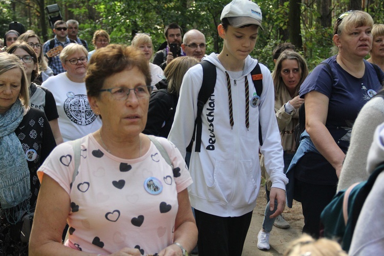 Z Brzegu Dolnego do Łososiowic