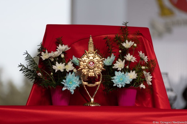 Pielgrzymka Żywego Różańca w Rokitnie