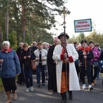 XVII Pielgrzymka Kół Żywego Różańca do Domaniewic 