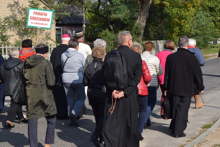 XVII Pielgrzymka Kół Żywego Różańca do Domaniewic 