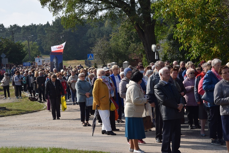 XVII Pielgrzymka Kół Żywego Różańca do Domaniewic 