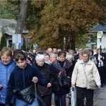 XVII Pielgrzymka Kół Żywego Różańca do Domaniewic 