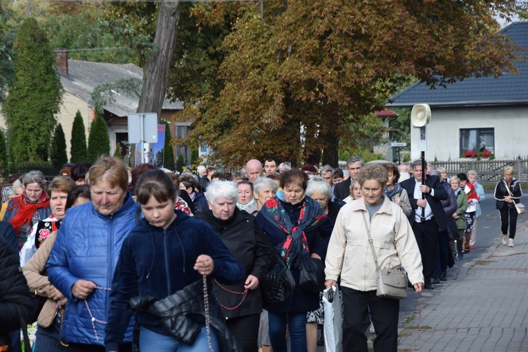 XVII Pielgrzymka Kół Żywego Różańca do Domaniewic 