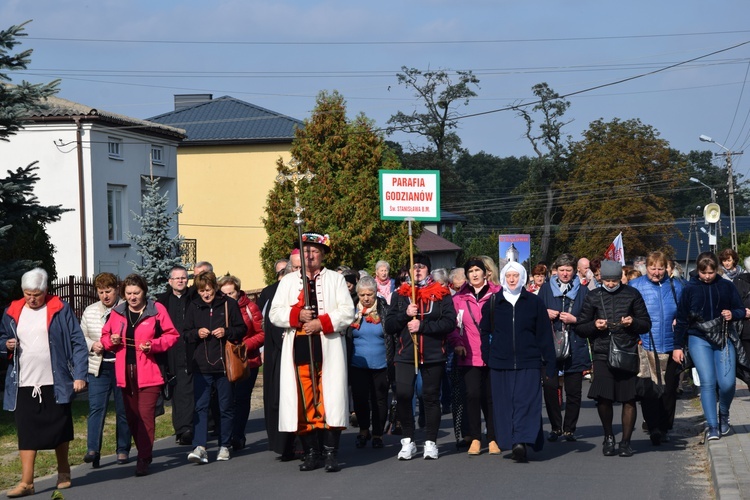 XVII Pielgrzymka Kół Żywego Różańca do Domaniewic 