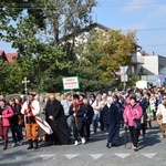 XVII Pielgrzymka Kół Żywego Różańca do Domaniewic 