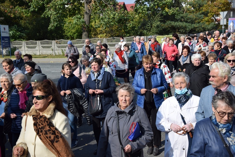 XVII Pielgrzymka Kół Żywego Różańca do Domaniewic 