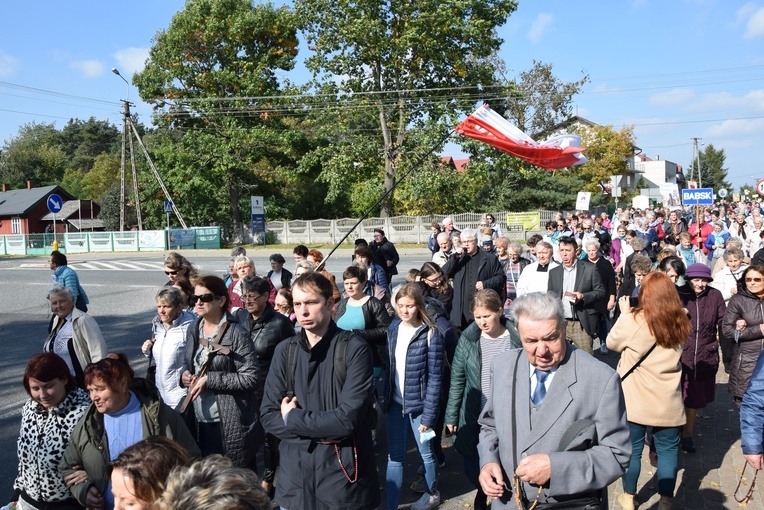 XVII Pielgrzymka Kół Żywego Różańca do Domaniewic 