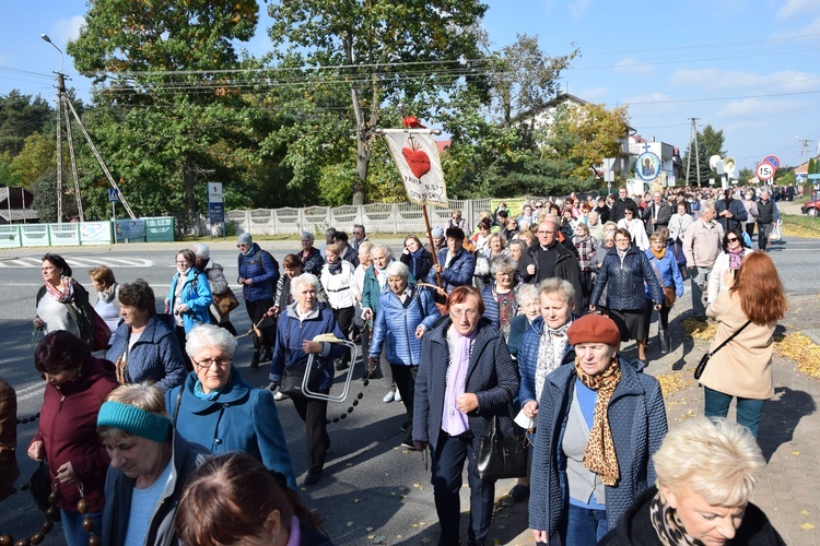 XVII Pielgrzymka Kół Żywego Różańca do Domaniewic 