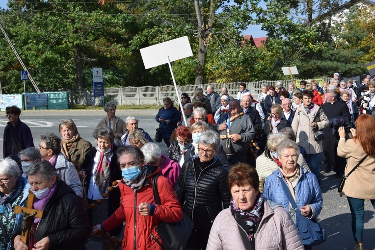 XVII Pielgrzymka Kół Żywego Różańca do Domaniewic 