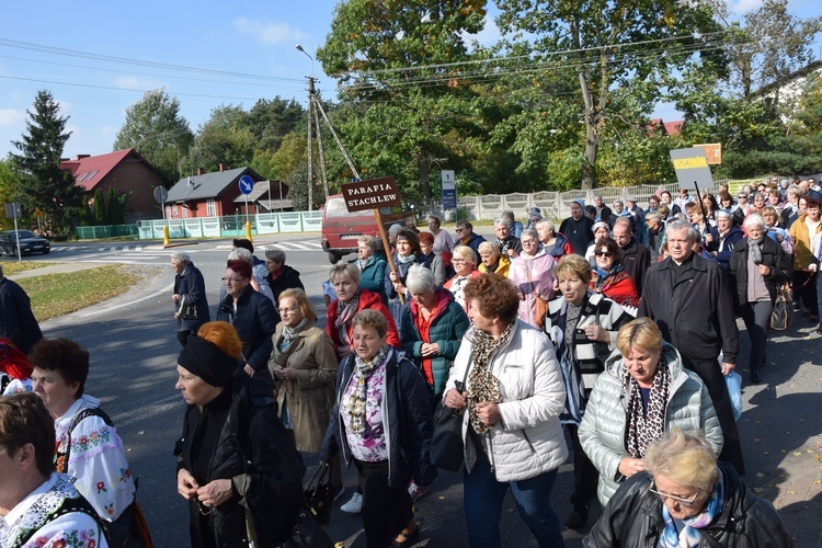 XVII Pielgrzymka Kół Żywego Różańca do Domaniewic 