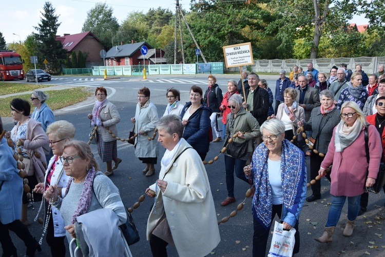 XVII Pielgrzymka Kół Żywego Różańca do Domaniewic 