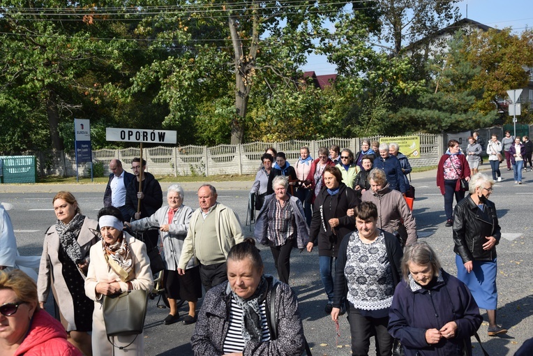 XVII Pielgrzymka Kół Żywego Różańca do Domaniewic 