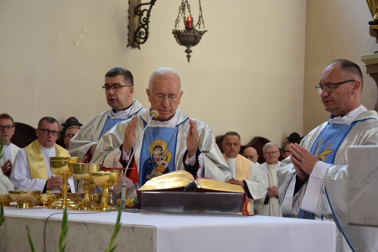 XVII Pielgrzymka Kół Żywego Różańca do Domaniewic 