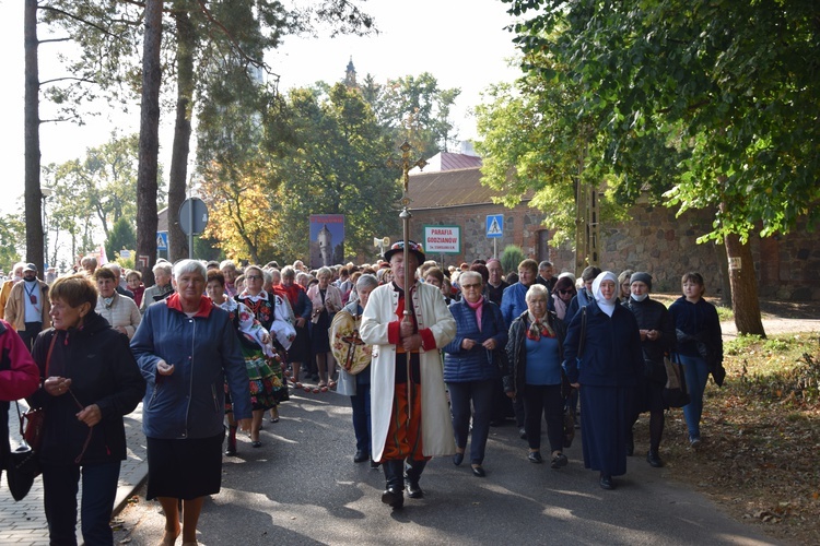 XVII Pielgrzymka Kół Żywego Różańca do Domaniewic 