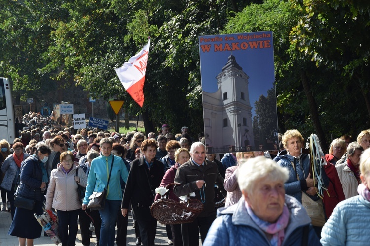 XVII Pielgrzymka Kół Żywego Różańca do Domaniewic 