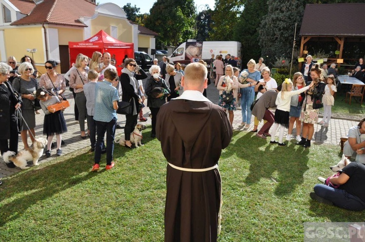 Niedziela św. Franciszka w Głogowie