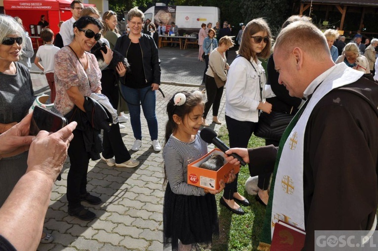 Niedziela św. Franciszka w Głogowie