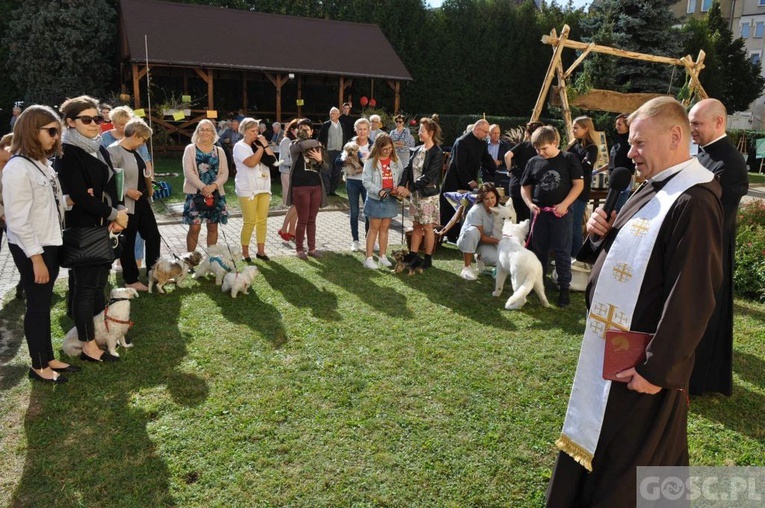 Niedziela św. Franciszka w Głogowie