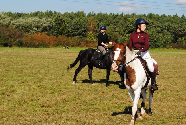 Żabno. Nadsański Huberus