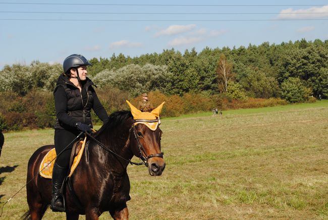 Żabno. Nadsański Huberus