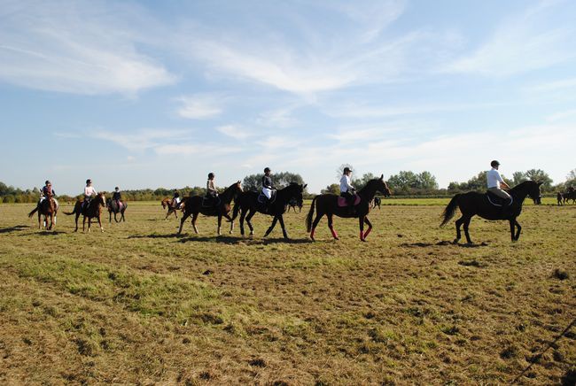 Żabno. Nadsański Huberus