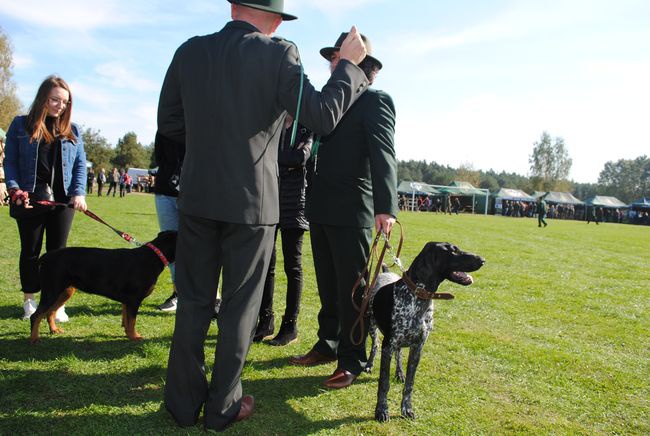 Żabno. Nadsański Huberus