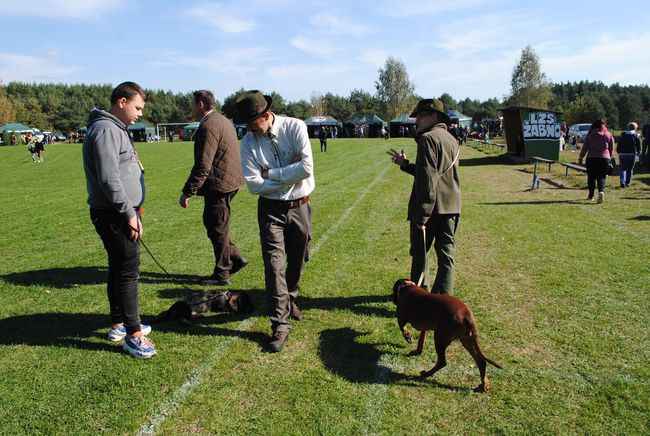 Żabno. Nadsański Huberus