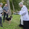 Ekologia to porządkowanie serca. Nabożeństwo w Manowie