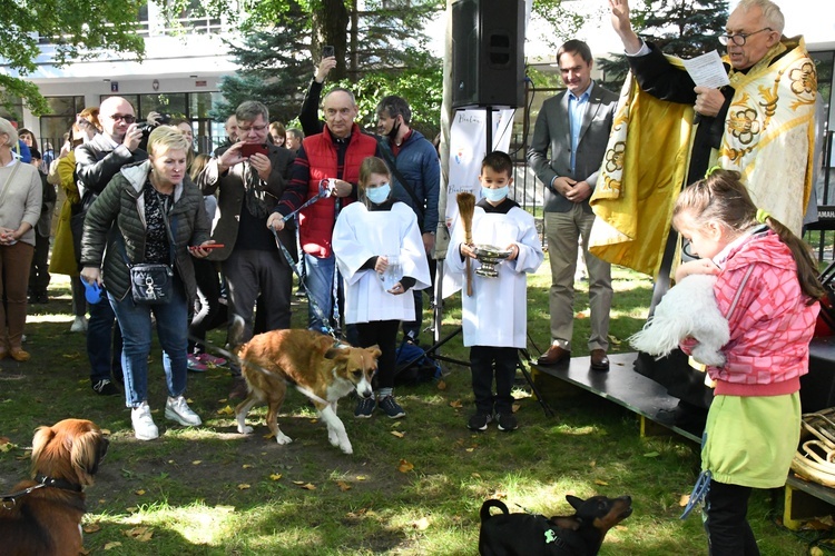 X Dzień św. Franciszka i Lasu Bielańskiego