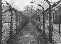 79 lat temu doszło do masakry Żydówek w podobozie Auschwitz