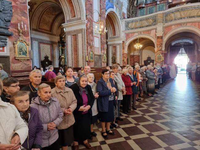 Odpust ku czci św. Franciszka