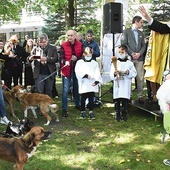 Z okazji przypadającego 4 października liturgicznego wspomnienia  św. Franciszka na placu przed kościołem bł. Edwarda Detkensa odbyło się błogosławieństwo zwierząt.