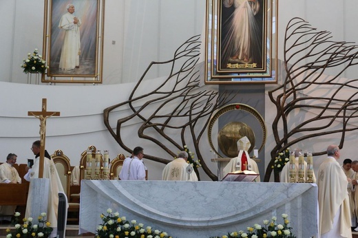 V Międzynarodowy Kongres Apostołów Bożego Miłosierdzia