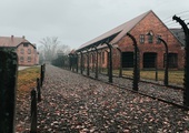 Muzeum Auschwitz: Antysemickie napisy na barakach Birkenau