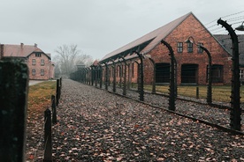 Muzeum Auschwitz: Antysemickie napisy na barakach Birkenau