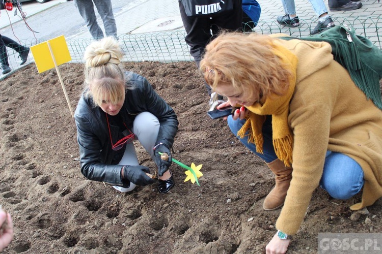 Oficjalna inauguracja akcji Pola Nadziei w Gorzowie Wlkp.